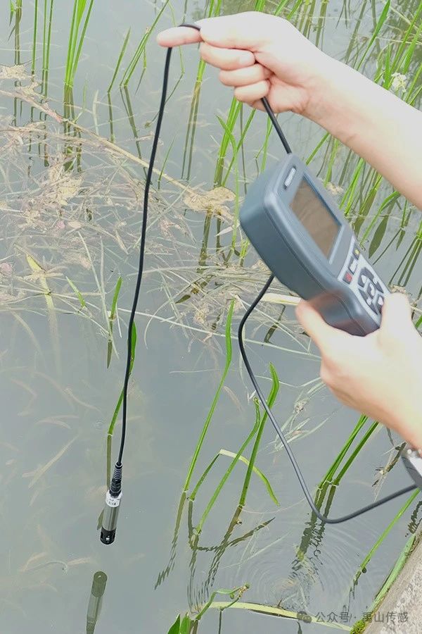 便携式溶解氧检测仪